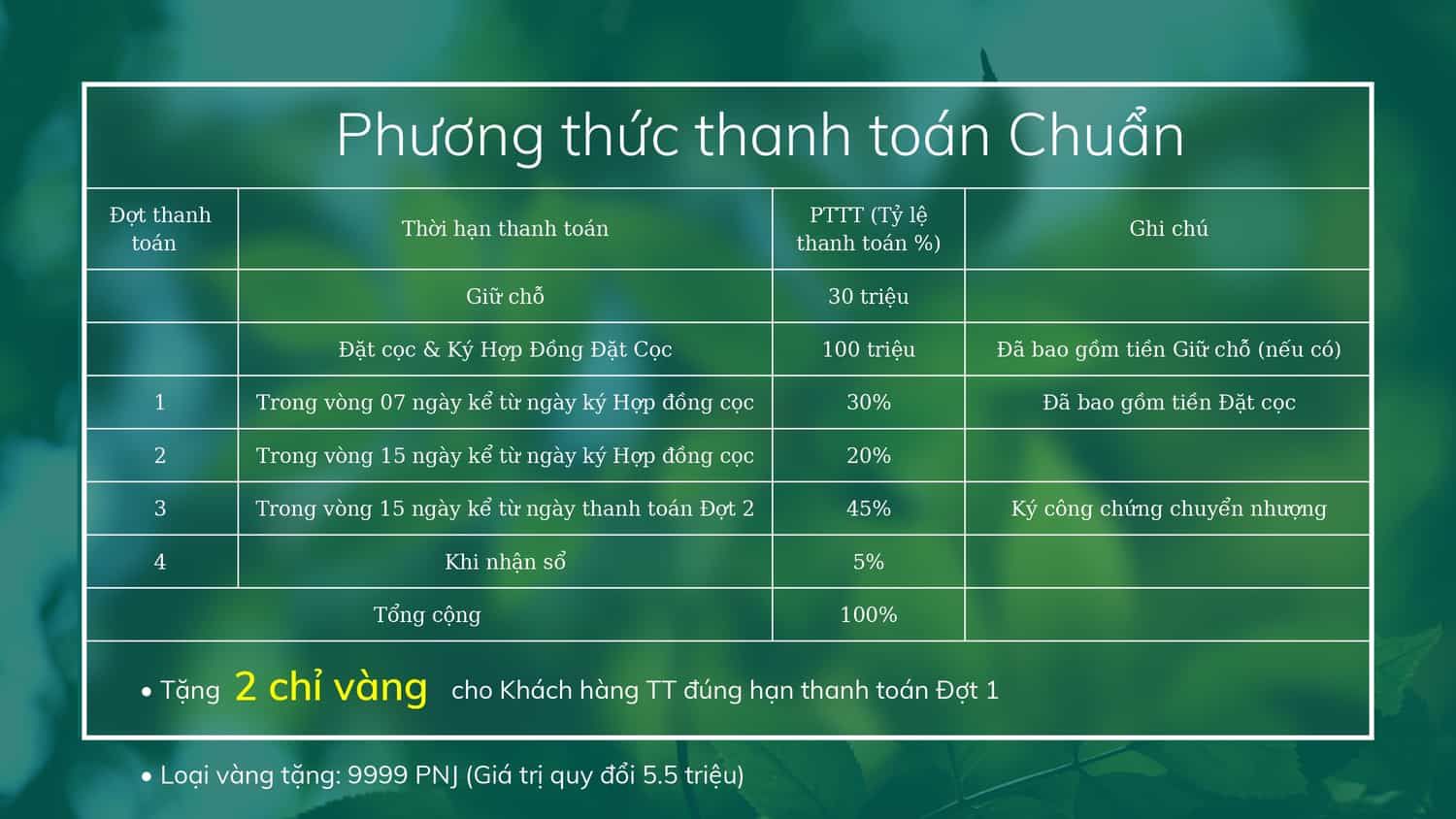 Phuong Thuc Thanh Toan Doi Mo Sky View 1