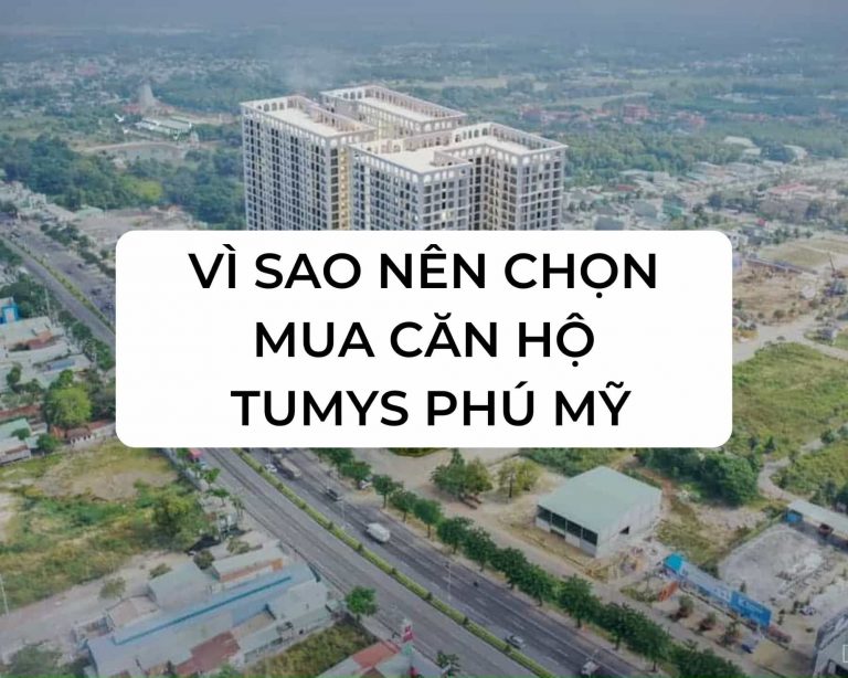 Vi Sao Nen Chon Mua Can Ho Tumys Phu My